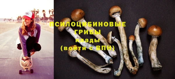ешки Верхнеуральск