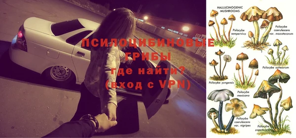 стафф Верея