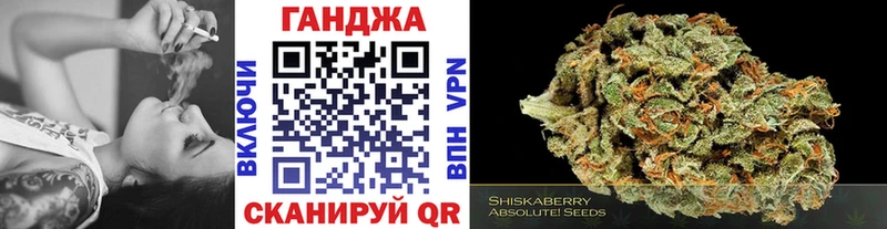 Шишки марихуана SATIVA & INDICA  как найти наркотики  Петровск 